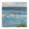 Stupell Industries Relaxed Sandpipers on Shore Canvas By Sally Swatland